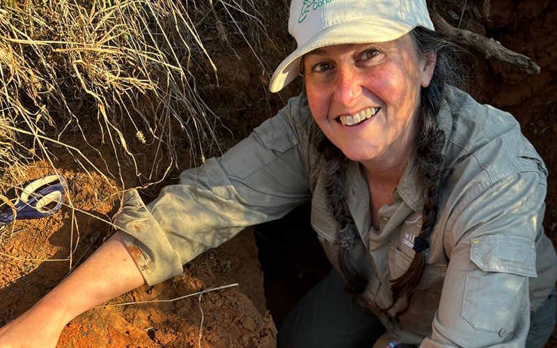 Give critically endangered animals a place to call home - Australian ...