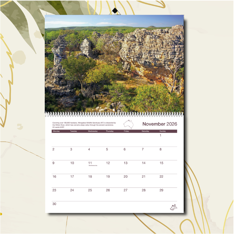 2026 AWC Wall Calendar
