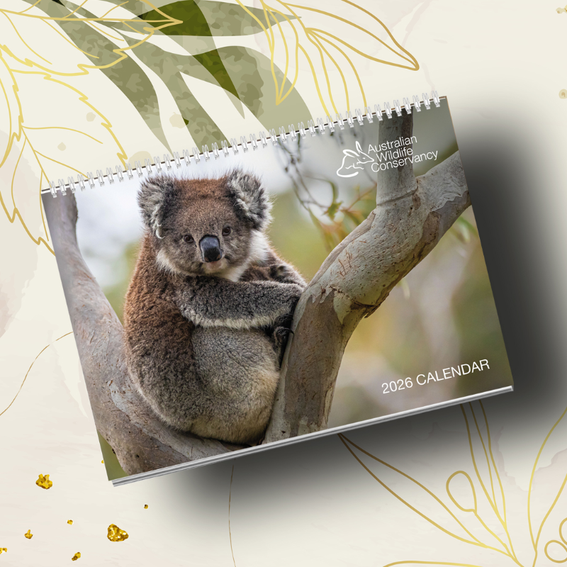 2026 AWC Wall Calendar